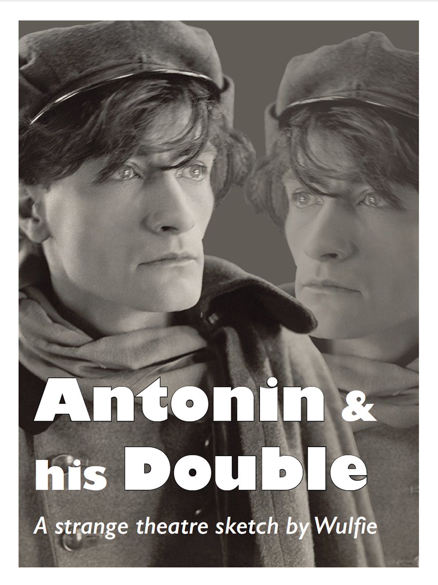 Cover of Antonin & his Double ebook