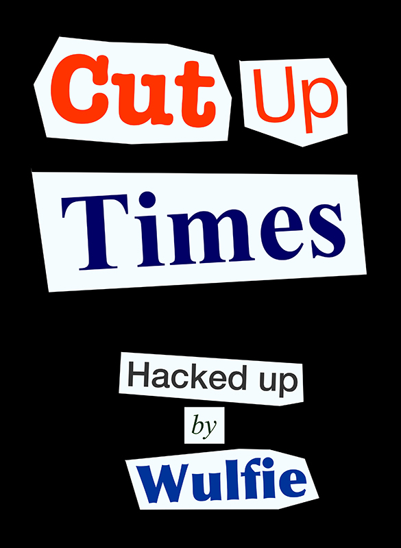 Cover of Cut Up Times ebook