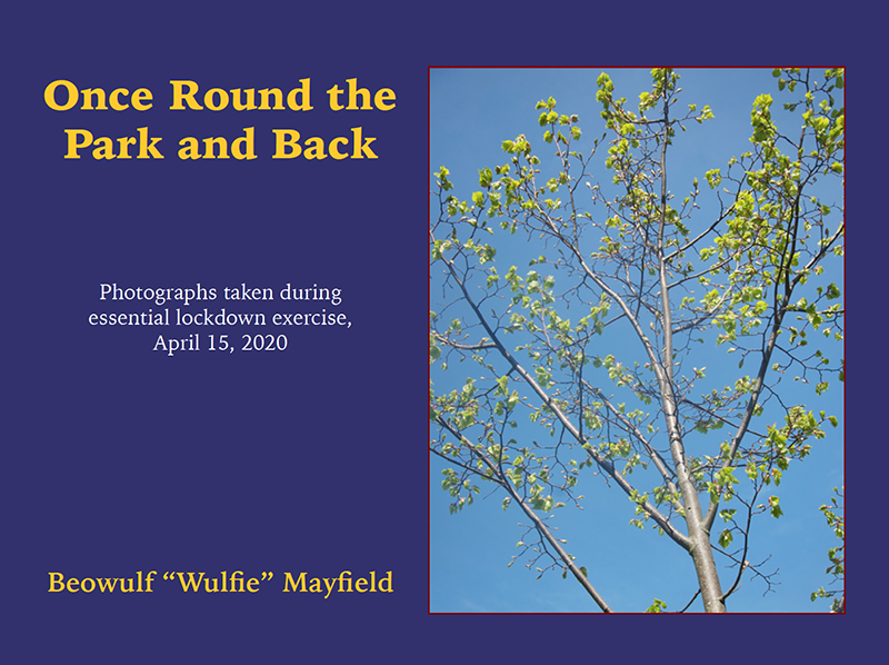 Cover of Once Round the Park and Back ebook